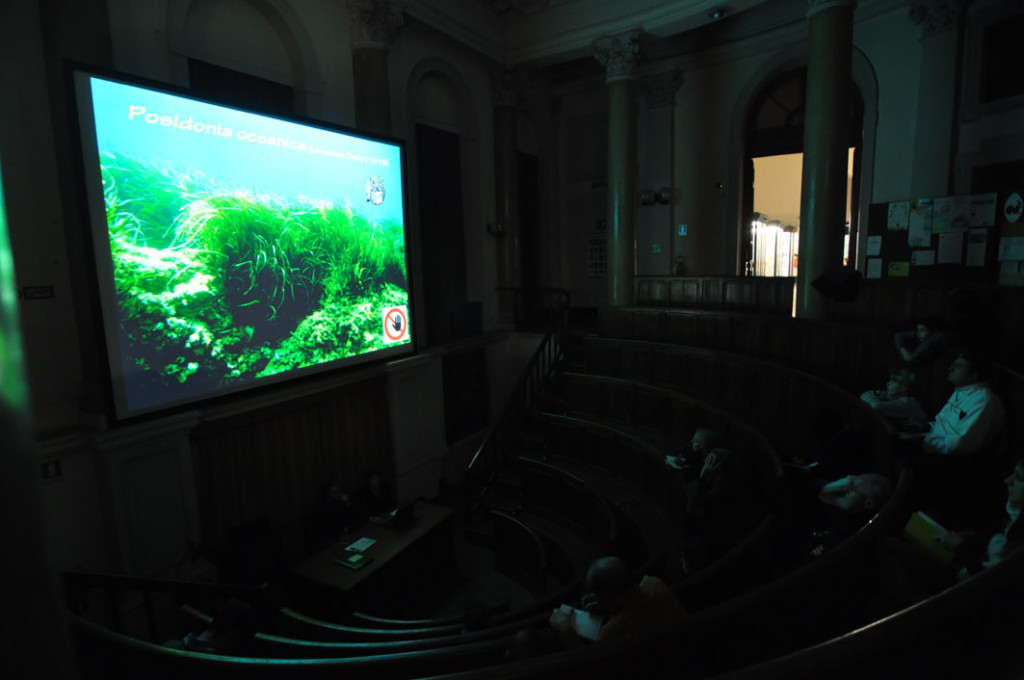 Aula ad anfiteatro del Museo