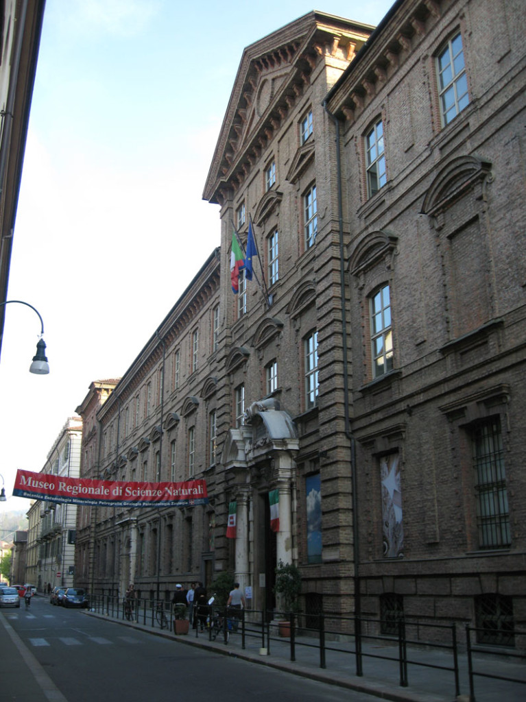 Museo Regionale di Scienze Naturali di Torino