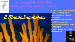 il-mondosommerso